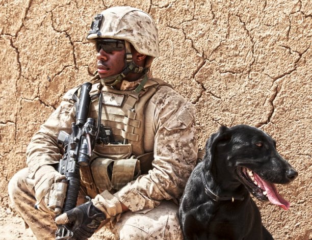 Lance-Cpl.-Thomas-Foster-takes-a-rest-with-his-military-working-dog-Diamond-during-a-patrol-through-Boldak-Afghanistan-March-6.-Foster-is-a-member-of-Wea.jpg