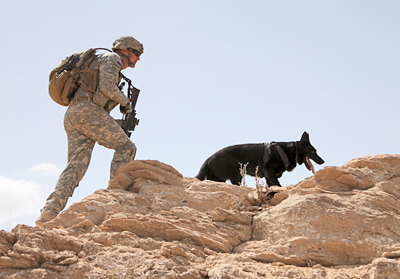 slide-solider-dogs-desert-terrain-US-army-Photo-jeffery-alexander.jpg