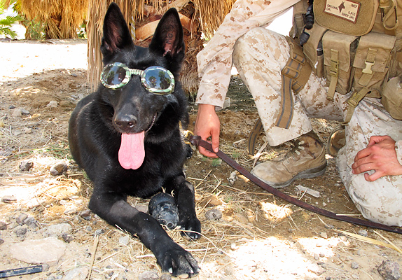 slide-solider-dogs-goggles-US-MC-Credit-Maria-Goodavage.jpg