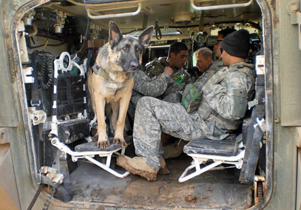 slide-solider-dogs-helicopter-US-MC-Credit-Amanda-Ingraham.jpg