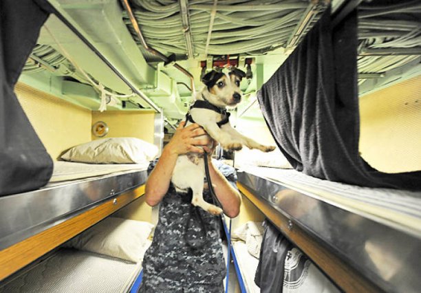 slide-solider-dogs-in-sub-US-Navy-Photo-by-paul-d-williams.jpg