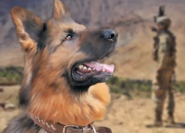 How three Dogs Saved 50 Soldiers!