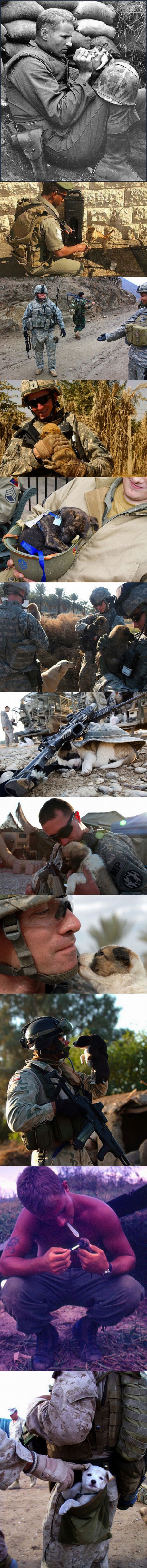 Combat Boots + Puppy Paws...Even In Times Of War These Men Are Human