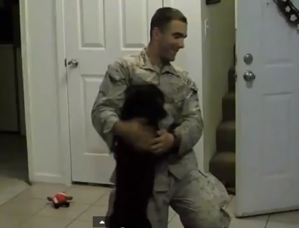 Happy Happy Joy Joy - Dogs and their Soldiers